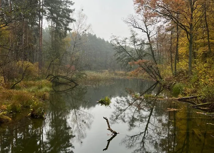 Centrum Apartment Nowe Miasto Lubawskie