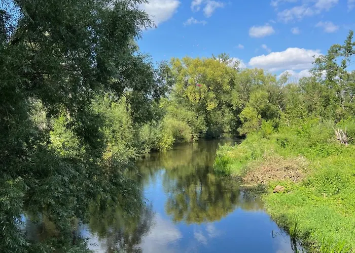 Apartment Centrum Nowe Miasto Lubawskie